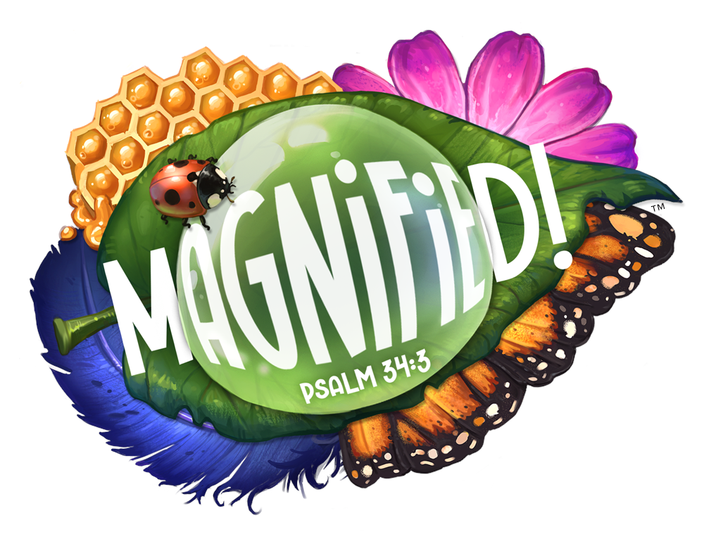 Magnify
